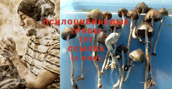 марки lsd Нязепетровск