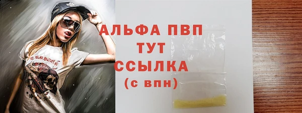 PSILOCYBIN Новодвинск