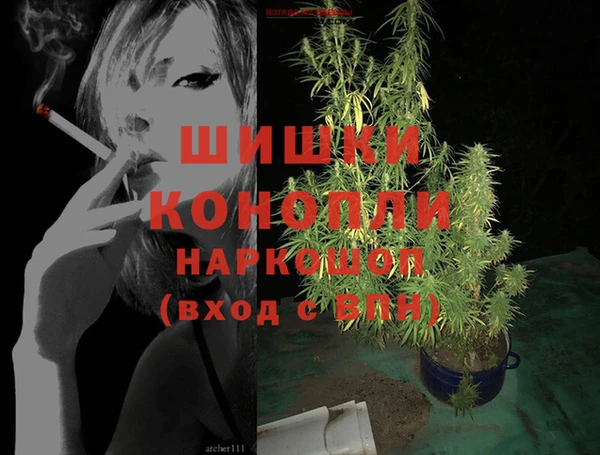 хмурый Нея