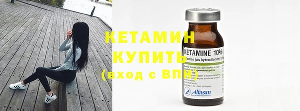 шишки Беломорск