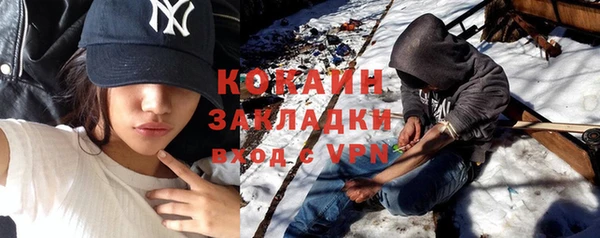прущие грибы Нягань