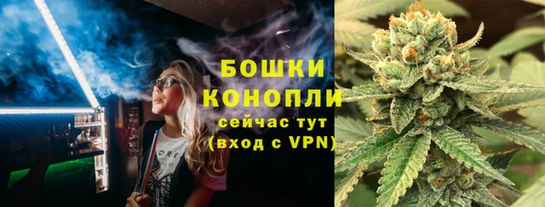 PSILOCYBIN Новодвинск