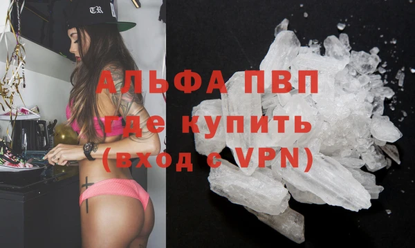 гашик Новокубанск