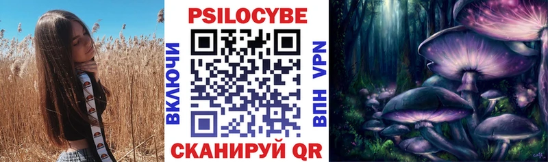 ОМГ ОМГ онион  Истра  Псилоцибиновые грибы прущие грибы 