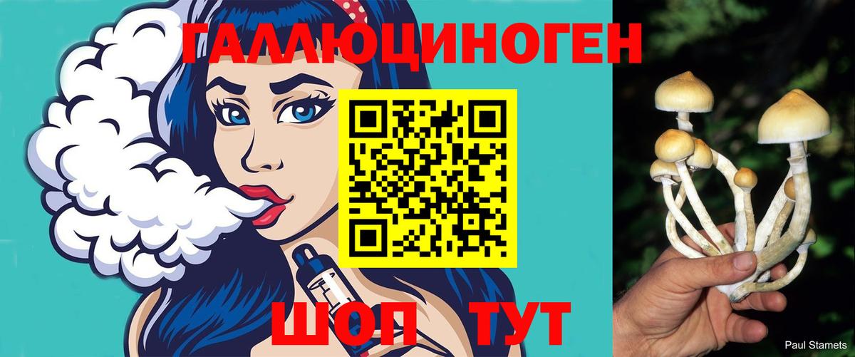 Псилоцибиновые грибы прущие грибы  Вход с VPN  Истра 